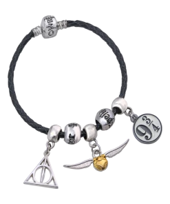 Warner Bros Harry Potter Charm Bracelet Set