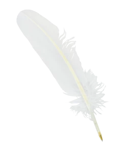 Warner Bros Feather Quill Pen Best Sellers
