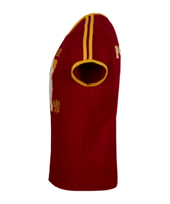 Warner Bros Best Sellers Personalised Gryffindor House Seeker T-Shirt