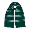 Warner Bros Authentic Slytherin Scarf