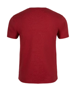 Warner Bros Gryffindor Quidditch Team Captain T-Shirt