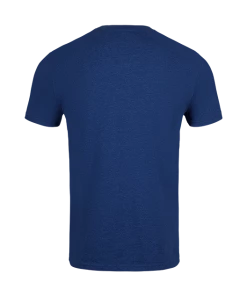 Warner Bros Best Sellers Ravenclaw Quidditch Team Captain T-Shirt