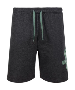 Warner Bros Best Sellers Slytherin Quidditch Team Captain Shorts