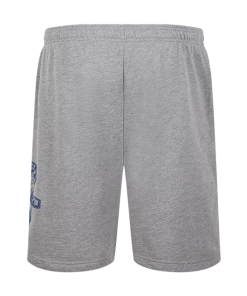 Warner Bros Best Sellers Ravenclaw Quidditch Team Captain Shorts