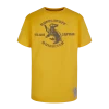 Warner Bros Kids Hufflepuff Quidditch Team Captain T-Shirt