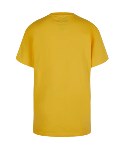 Warner Bros Kids Hufflepuff Quidditch Team Captain T-Shirt