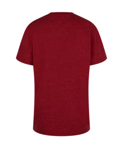 Warner Bros Best Sellers Kids Gryffindor Quidditch Team Captain T-Shirt