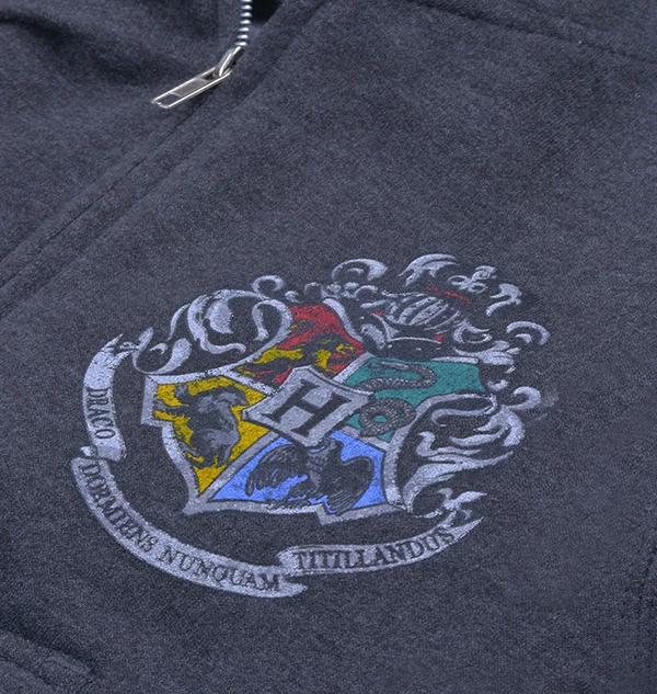 Warner Bros Kids Hogwarts Crest Hooded Sweatshirt Best Sellers 5 Warner Bros Kids Hogwarts Crest Hooded Sweatshirt Best Sellers