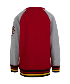 Warner Bros Kids Gryffindor Sweatshirt Best Sellers