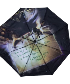 Warner Bros Philosopher's Stone Umbrella