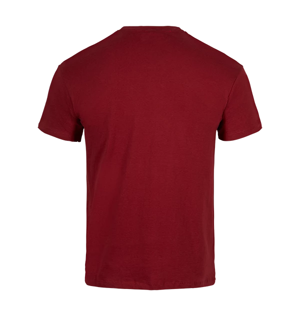 Warner Bros Gryffindor T-Shirt Best Sellers 4 Warner Bros Gryffindor T-Shirt Best Sellers