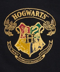 Warner Bros Hogwarts Adult Spirit Jersey