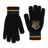Warner Bros Best Sellers Hogwarts School Crest Knitted Gloves