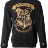 Warner Bros Hogwarts Striped Sleeve Sweatshirt