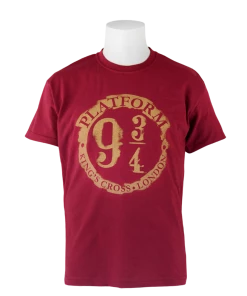 Warner Bros Distressed Platform 9 3/4 T-Shirt - Kids