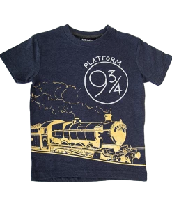 Warner Bros Best Sellers Kids Hogwarts Express Allover Print T-Shirt