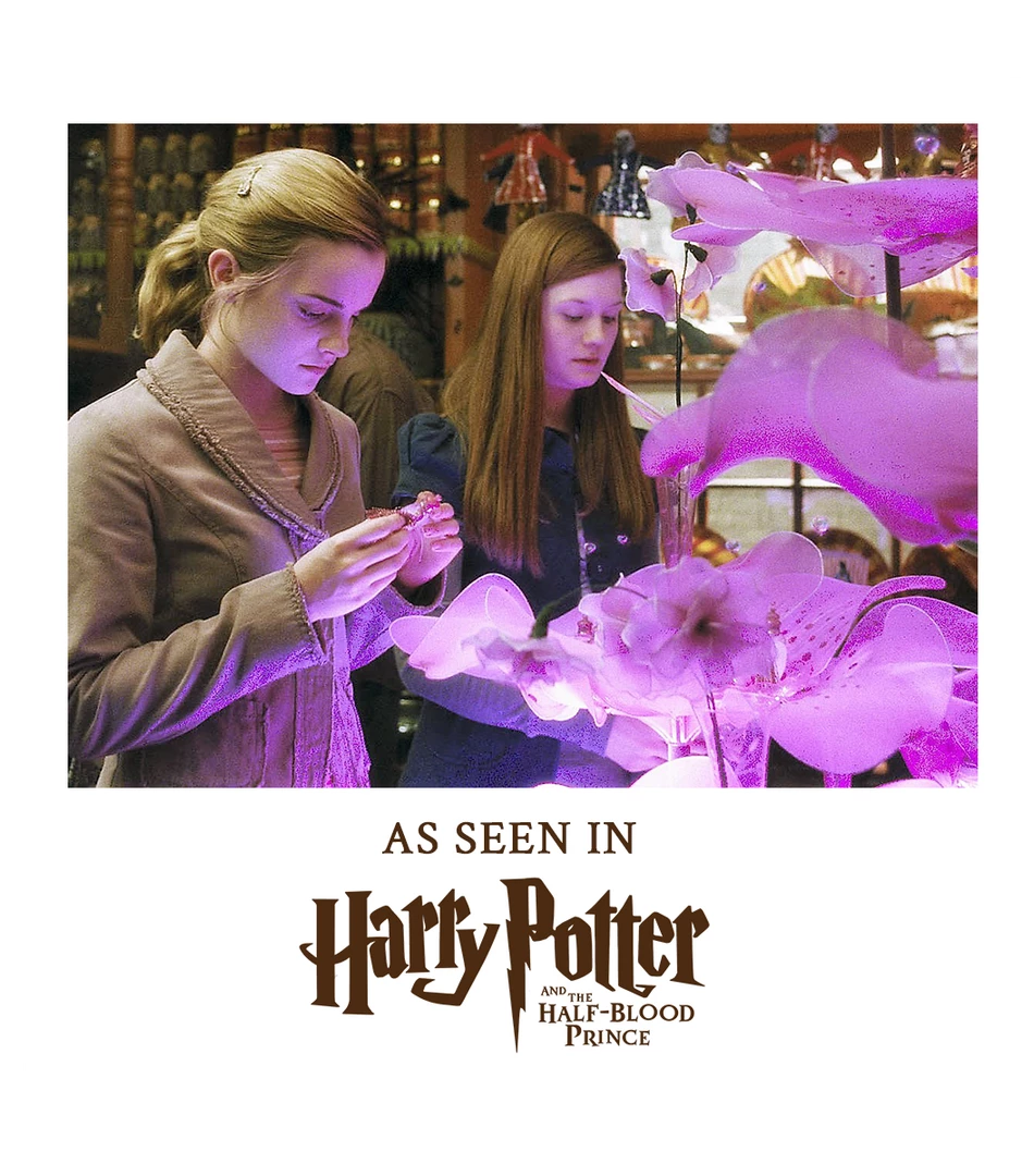 Warner Bros Collectables Love Potion Pendant With Display 4 Warner Bros Collectables Love Potion Pendant With Display