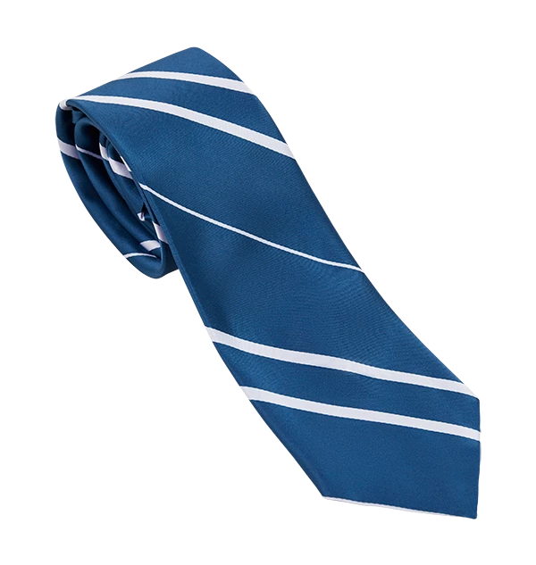 Warner Bros Ravenclaw House Tie Best Sellers 3 Warner Bros Ravenclaw House Tie Best Sellers