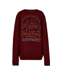 Warner Bros Best Sellers Hogwarts Christmas Sweatshirt