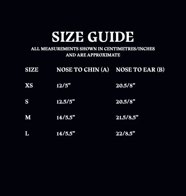 Warner Bros Ravenclaw Face Covering 7 Warner Bros Ravenclaw Face Covering