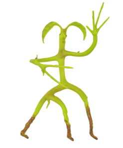 Warner Bros Poseable Pickett Best Sellers