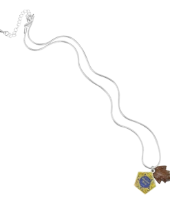 Warner Bros Chocolate Frog Charm Necklace