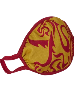 Warner Bros Gryffindor Face Covering Best Sellers