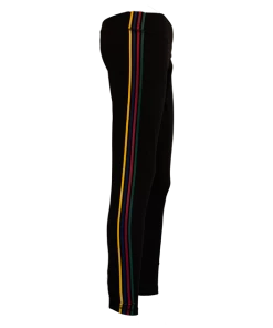 Warner Bros Best Sellers Hogwarts House Athletic Leggings