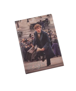 Warner Bros Newt Scamander Photo Magnet