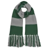 Warner Bros Best Sellers Slytherin Broad Stripe Scarf