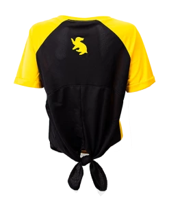 Warner Bros Best Sellers Hufflepuff Athletic Tie Back Tee