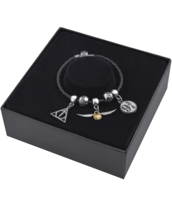 Warner Bros Harry Potter Charm Bracelet Set